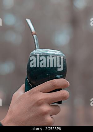 Mano che tiene un calabasino argentino yerba mate con sfondo sfocato in un parco, fuoco selettivo verticale Foto Stock