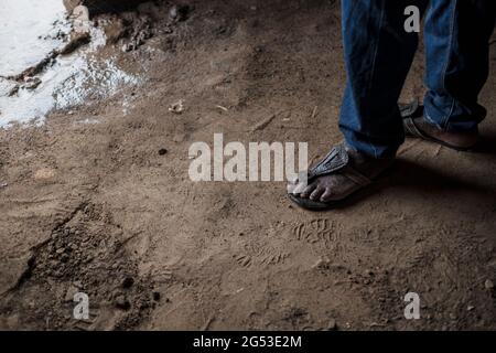 Bidibidi, Morobi, campo profughi, Uganda, Africa Foto Stock