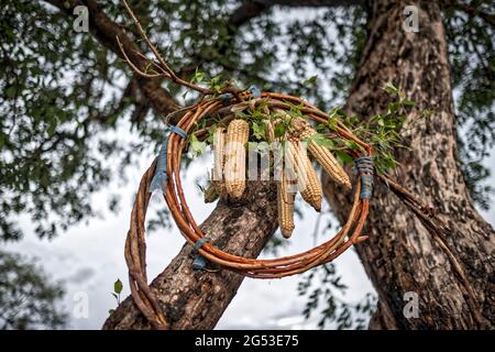 Bidibidi, Morobi, campo profughi, Uganda, Africa Foto Stock