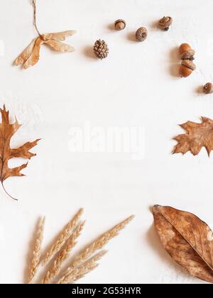 Incorniciate da vari fogli e ghiande di caduta ed altre parti degli alberi su sfondo bianco. Vista dall'alto. Spazio di copia. Composizione autunnale minima Foto Stock