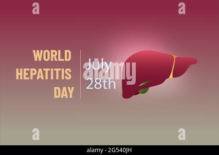 Giornata mondiale dell'epatite, luglio 28. Fegato sano su sfondo rosso, crema gradiente .Vector Illustrazione Vettoriale