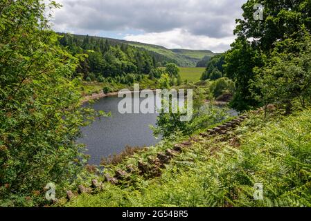 Lago artificiale di Ramsden tra Holmfirth e le colline di Pennine nello Yorkshire occidentale, Inghilterra settentrionale. Una zona popolare per camminare. Foto Stock