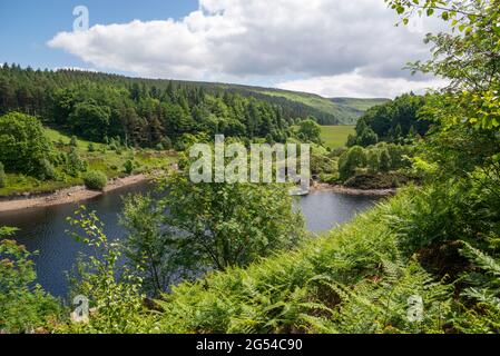 Lago artificiale di Ramsden tra Holmfirth e le colline di Pennine nello Yorkshire occidentale, Inghilterra settentrionale. Una zona popolare per camminare. Foto Stock