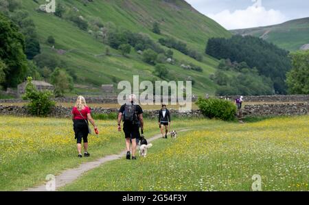 I turisti che camminano cani su conduce attraverso i prati dei fiori selvatici Muker, Yorkshire Dales National Park, Regno Unito. Foto Stock