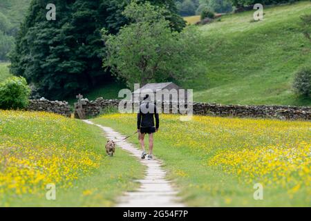 I turisti che camminano cani su conduce attraverso i prati dei fiori selvatici Muker, Yorkshire Dales National Park, Regno Unito. Foto Stock