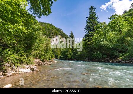 Il fiume di montagna blu turchese Bregenzer Ach a Bregenzer Wald, Vorarlberg, Austria Foto Stock