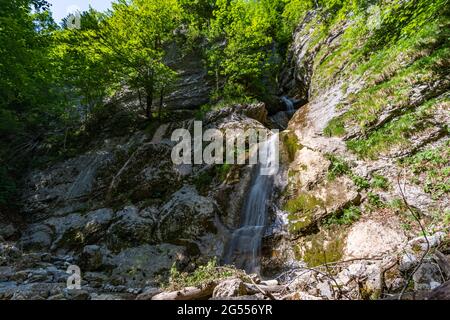 Il fiume di montagna blu turchese Bregenzer Ach a Bregenzer Wald, Vorarlberg, Austria Foto Stock