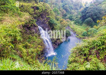 Strada per Hana: Cascate di Wailuaiki, tra i contrassegni 21 e 22 lungo l'autostrada Hana a East Maui, Hawaii Foto Stock