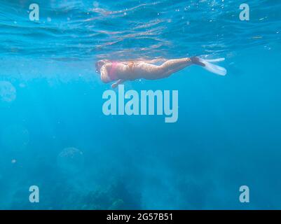 Donna snorkeling sopra la barriera corallina in Sud Ari Atoll, Maldive Foto Stock