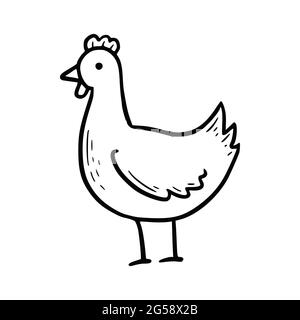 Pollo di fattoria disegnato a mano. Stile di schizzo Doodle. Linea di disegno icona di pollo semplice. Illustrazione vettoriale isolata. Illustrazione Vettoriale