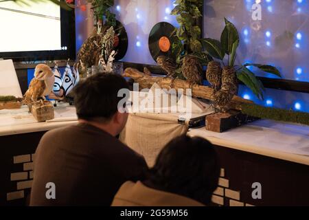 Persone con gufi in un OWL cafe a Tokyo, Giappone Foto Stock