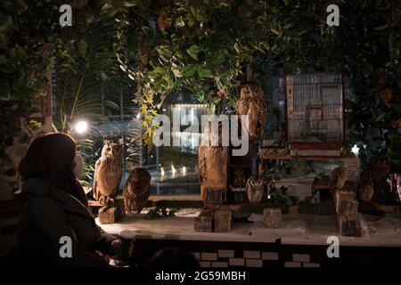 Persone con gufi in un OWL cafe a Tokyo, Giappone Foto Stock