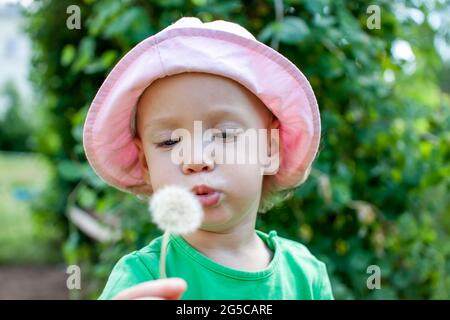 Una bambina in una T-shirt verde e un panama rosa cammina nel parco in estate e soffia il languito fuori dai diandelioni Foto Stock