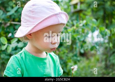 Una bambina in una T-shirt verde e un panama rosa cammina nel parco in estate e soffia il languito fuori dai diandelioni Foto Stock