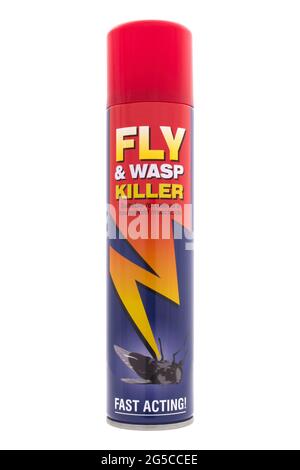Bomboletta spray di killer mosca e vespa su sfondo bianco Foto Stock