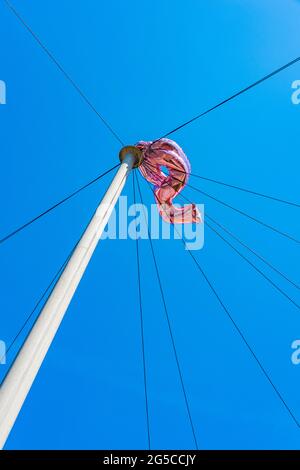 I palloncini della celebrazione del compleanno sono rimasti in un palo del telegrafo. Si prega di credito: Phillip Roberts Foto Stock