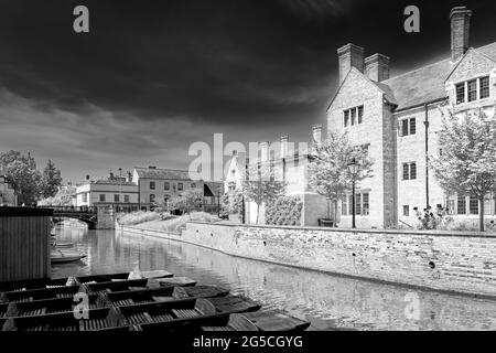 Punt parcheggiati sul fiume Cam, di fronte al Magdalene College, Cambridge, Inghilterra. Foto Stock