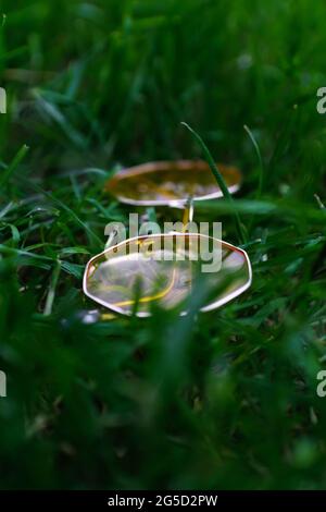 Defocalizzare gli occhiali da sole gialli distesi su un'erba verde profonda. Sfondo verde naturale sfocato. Verticale. Relax estate concetto. Vista laterale. Fuori fuoco Foto Stock