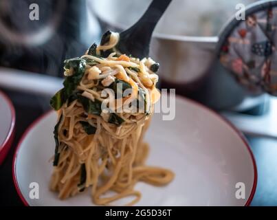 Piastrando e servendo una porzione di pollo cotto in casa, frittura, verdure asiatiche e tagliatelle d'uovo in una ciotola. Messa a fuoco selettiva, profondità di campo poco profonda Foto Stock