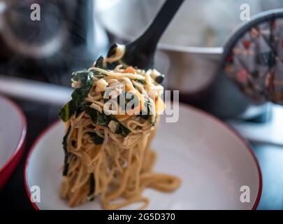 Piastrando e servendo una porzione di pollo cotto in casa, frittura, verdure asiatiche e tagliatelle d'uovo in una ciotola. Messa a fuoco selettiva, profondità di campo poco profonda Foto Stock