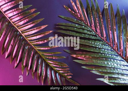 Bagliore illuminato a riflessione che illumina la palma tropicale con luce al neon. Giungla retrò scuro e piante. Foto Stock