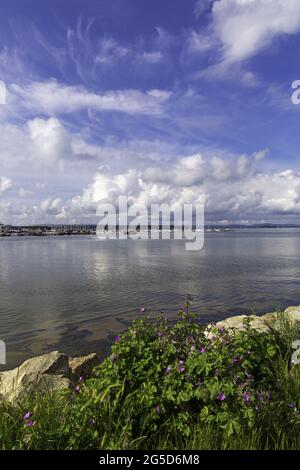 Poole, Dorset UK. 26 giugno 2021. Tempo nel Regno Unito: Intervalli di sole con le nuvole drammatiche a Poole, Dorset. Credit: Carolyn Jenkins/Alamy Live News Foto Stock