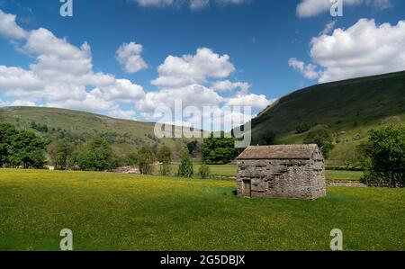 Prati di fiori selvaggi con fienile di pietra tradizionale in, Muker, Swaledale, Yorkshire Dales National Park, Regno Unito. Foto Stock