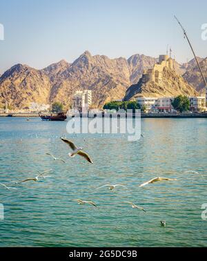 Vista della Corniche di Mutrah dal porto del Sultano Qaboos a Muscat, Oman Foto Stock