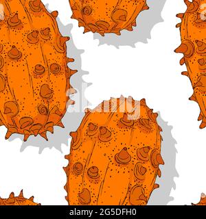 Meloni con cornici, modello di ripetizione Kiwanos, modello vettoriale modificabile Illustrazione Vettoriale