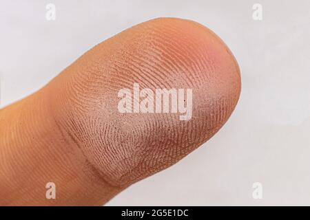 scansione biometrica elettrica delle impronte digitali, macro shot, tecnologia del futuro Foto Stock