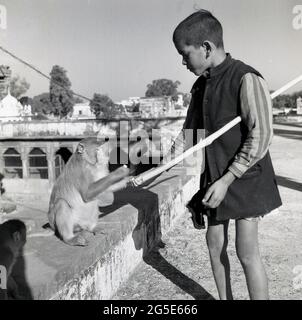 Anni '50, storico, Benares, India, un giovane ragazzo indiano, in barefeet e con un bastone, nutrendo una scimmia di strada seduto su un ponte di pietra. Foto Stock