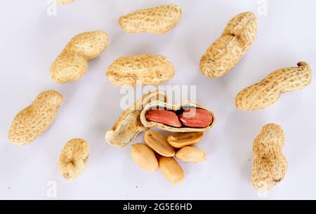 Arachidi sparse su sfondo bianco. Uno è stato aperto per rivelare un seme rosso all'interno. Foto Stock