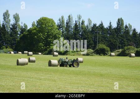 Balle di fieno arrotolate punteggiano i campi. Foto Stock