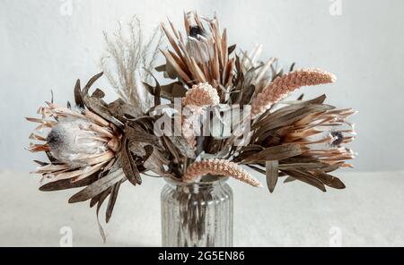 Un bouquet di fiori secchi in vaso di vetro su sfondo chiaro. Foto Stock