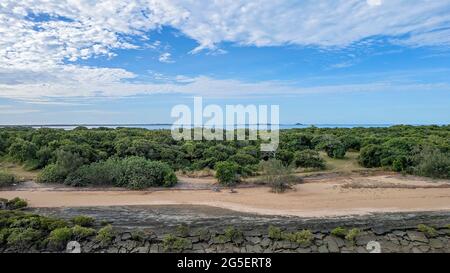 In volo su un torrente a bassa marea con fango e banchi di sabbia visibili e una costa di macchia a Cape Palmerston Australia Foto Stock