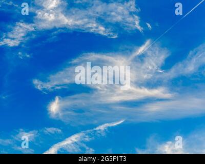 Cirrus nuvole contro un cielo blu Foto Stock