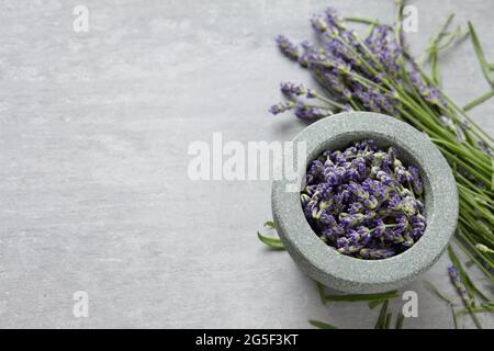 Ciotola fresca di fiori di lavanda su fondo grigio di cemento, spazio copia Foto Stock