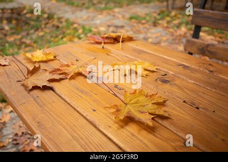 Le foglie caduti in un vuoto parco autunnale Foto Stock