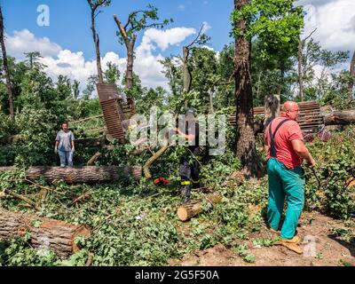 La gente è vista liberare la zona da alberi caduti.Tornado postumi in Repubblica Ceca, regione della Moravia del Sud. Tornado della forza 4F distrusse diversi villaggi giovedì 24 giugno, intorno alle 20:00. Dopo un minuto di attività ha lasciato 5 morti e 200 feriti e ha danneggiato centinaia di case. Questa regione si trova ad affrontare per la prima volta un disastro di questo tipo. Gli scienziati avvertono che con i cambiamenti climatici, il tempo estremo si verificherà più spesso. (Foto di Jana Cavojska / SOPA Images/Sipa USA) Foto Stock