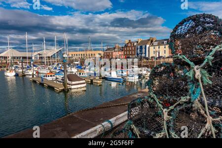 Il grazioso porto di pescatori nella città di Arbroath, Angus, Scozia Foto Stock