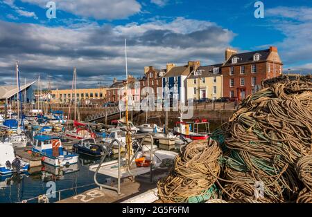 Il grazioso porto di pescatori nella città di Arbroath, Angus, Scozia Foto Stock