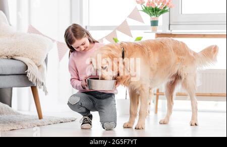 La bambina alimenta il cane Golden Retriever Foto Stock