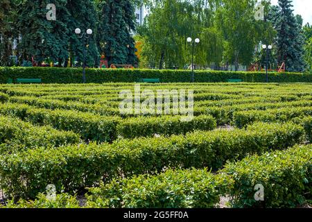 paesaggio disegno un labirinto di cespugli di siepi verdi in una giornata estiva soleggiata in un giardino botanico con alberi e un luogo per camminare con panchine e lan Foto Stock