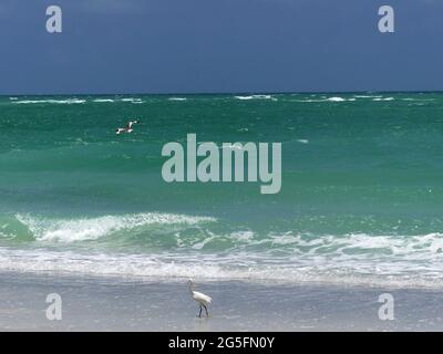 22 giugno 2021, SARASOTA, FLORIDA, Stati Uniti: Isola della lattina della birra, chiave di Longboat. (Immagine di credito: © John Marshall Mantel/ZUMA Wire) Foto Stock