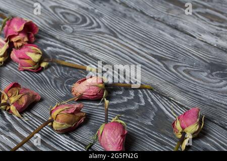 Boccioli secchi di rose rosse. Su tavole di pino spazzolato. Foto Stock