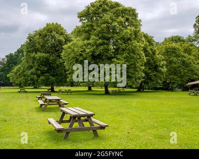 Tavoli da picnic in legno in un campo in un parco Foto Stock