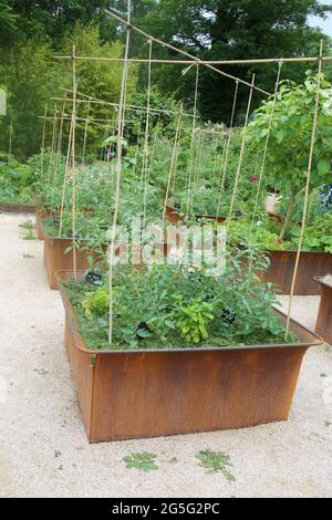 Letti rialzati utilizzando vecchi contenitori in metallo per le verdure ai giardini di Chateau de Chaumont. Pays de la Loire, Francia. Foto Stock