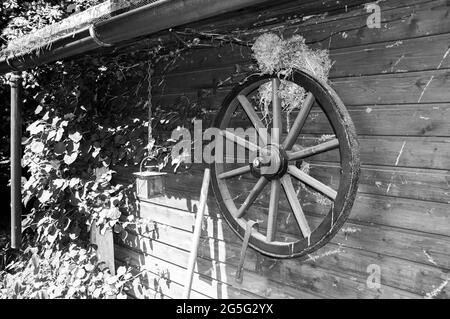 Decorazione su un capannone da giardino. Una vecchia ruota del carrello su cui un uccello ha costruito il suo nido Foto Stock