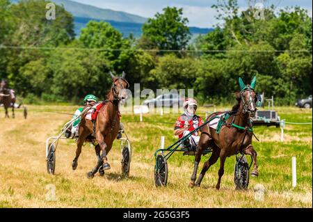 Lissangle, Caheragh, West Cork, Irlanda. 27 Giugno 2021. Oggi a Lissangle c'era una carta da 8 corse in una giornata molto calda e soleggiata. Credit: AG News/Alamy Live News Foto Stock
