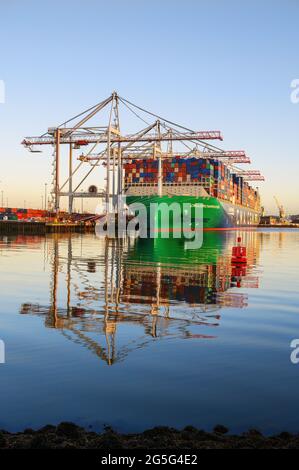 Una vista in formato portait della nave portamatile ULG CMA CGM Champs Elysees al terminal SCT5 del DP World al porto di Southampton - De Foto Stock